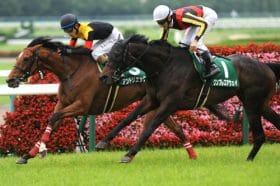 払戻総額1億円以上、驚異の錬金術…マーメイドSを攻略、夏の臨時ボーナス獲得へ