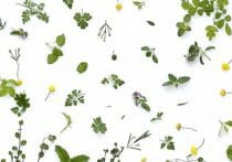 ビル・ゲイツはレジでクーポンを使い、スイートルームには泊まらない…富裕層の習慣