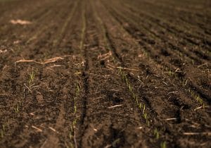 大分・イスラム教徒用「土葬」墓地開設騒動の顛末…畑の水質汚染を懸念する住民が反対