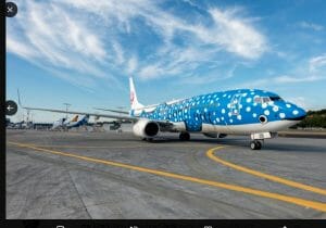 JAL系、パイロット訓練生の応募資格「厳しすぎる」理由…一般ルートや私大ルート