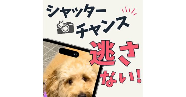 iPhoneカメラ「ペットのベストショットを簡単に撮る方法」