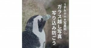 iPhone「ガラス越し写真で映り込みを防ぐ」撮影方法が話題 – 動物園や水族館で大活躍