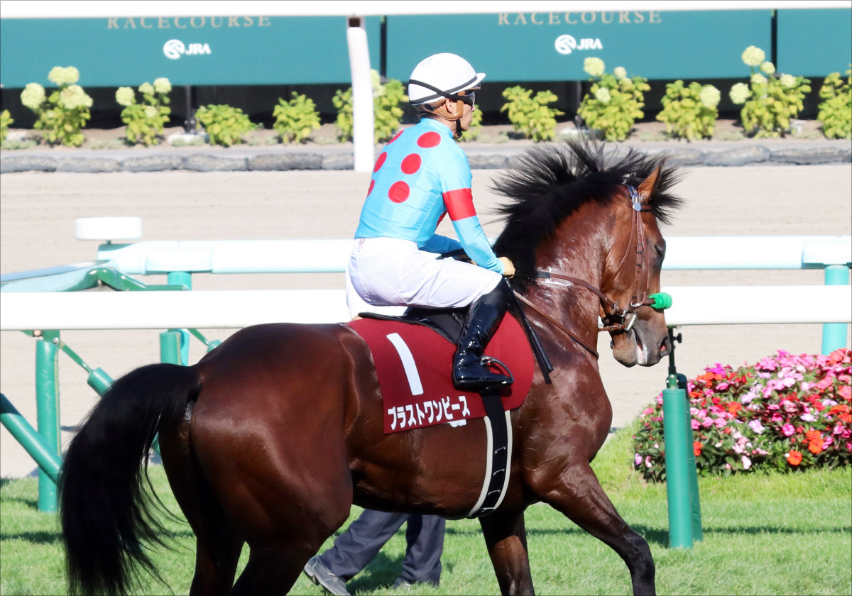 Jraブラストワンピース 露骨なノーザンありき 実態 凱旋門賞へ現場 キセキ応援 だらけ Gj