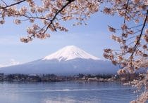 坪単価100万円超…スウェーデンハウス、10年連続顧客満足度1位の秘密