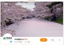 観光立国の死角を救う…宿泊施設の客室から24時間受診可、インバウンド医療DX