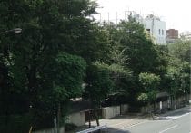 「慶應大学SFCの人気凋落」の嘘…総合政策学部への誤解、低迷・廃止の大学も