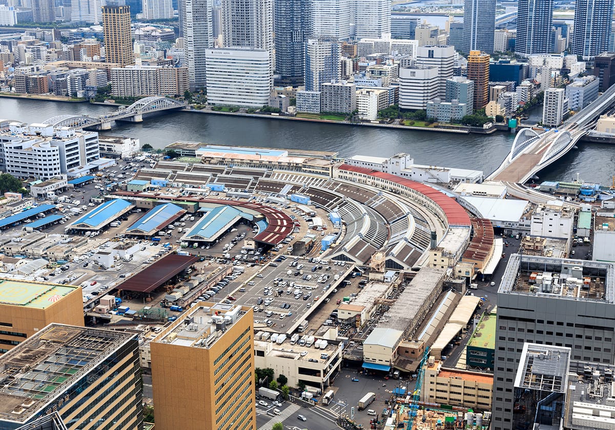 巨人軍、築地へ本拠地移転か…読売Gらのスタジアム建設提案を東京都が採択の画像1