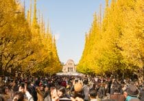 「消えゆく遺産」から「最強の防災インフラ」へ…公衆電話ボックス「OpenRoaming」化の全貌と、賢い活用術