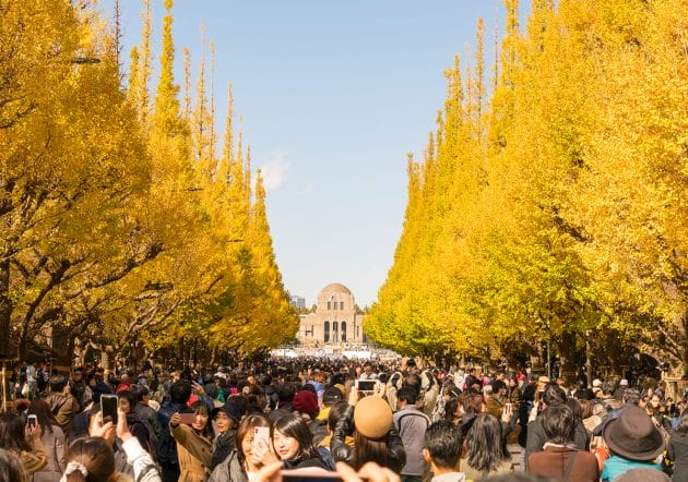 三井不動産が声明「神宮外苑開発で樹木は増加」…東京都幹部の天下り報道直後