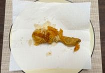 ケンタッキー食べ放題、チキン4個が限界だった…元は取れるが意外な難点も