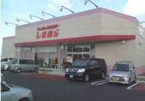 「しまむら」の営業利益率が、高付加価値の無印良品よりも高い理由…真逆の地味な経営で成長継続