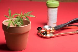 医療用大麻解禁はてんかん患者への「福音」…一方で「偏見」を懸念する声