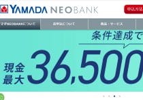 ヤマダデンキ「生産終了品が新品で安く買える」「死蔵在庫が凄い」説を検証