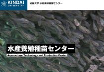 鰻の成瀬、開業わずか2年半で360店舗超の急成長の秘密…飲食チェーンの常識を逸脱