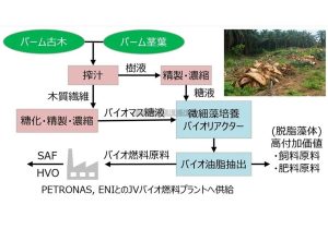 ユーグレナ、バイオマス糖の活用策調査＝ＳＡＦ用藻類培養で―マレーシア