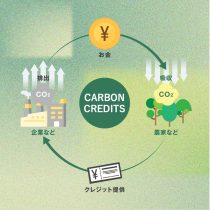 マイクロソフトやグーグル、なぜ「岩石の風化でCO2削減」の新技術に注目？