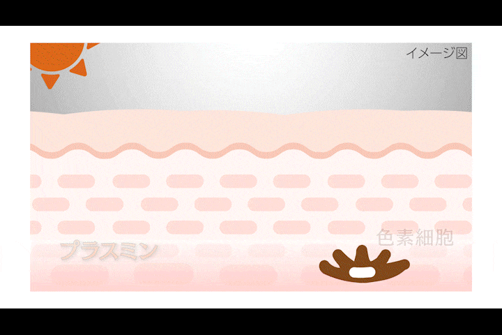 生活者と共創し革新を続ける…第一三共ヘルスケア、トラネキサム酸研究開発の最前線の画像10