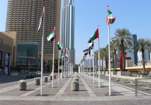 TONステーキングでUAEビザ取得？報道の真偽を探る