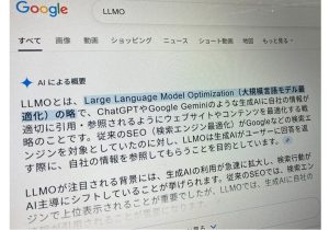 AI OverviewsやChatGPTなどAI検索「対策」への誤解…EEATの深掘りが重要？