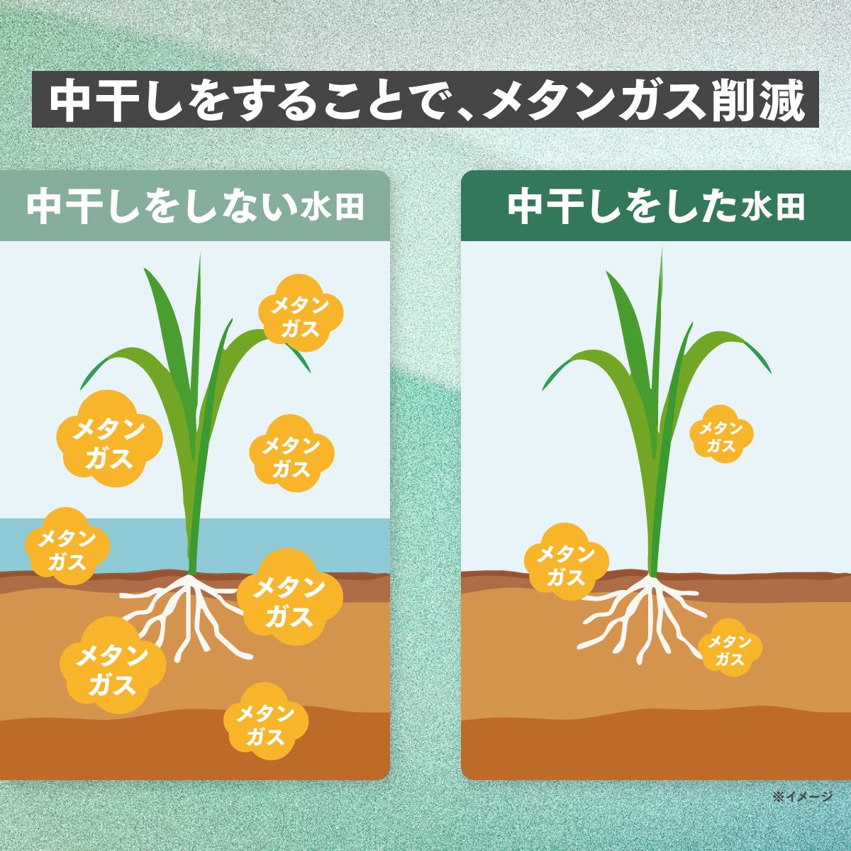 【一次産業×脱炭素で地球を救う #1】売るのは「米」だけじゃない。環境価値が農家を変える — 水田クレジット最前線の画像2