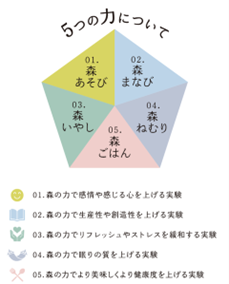 森と生きるリゾート「東急リゾートタウン蓼科」の地域連携・環境発信の拠点「TENOHA蓼科」が第二期オープンの画像2