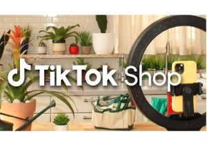 3300万ユーザーをECに誘導、TikTok Shopの威力…ディスカバリーEコマースという新たな体験