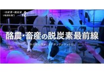 「森を切らずに稼ぐ」静岡市の挑戦…カーボンクレジットで生まれる新しい森林経済