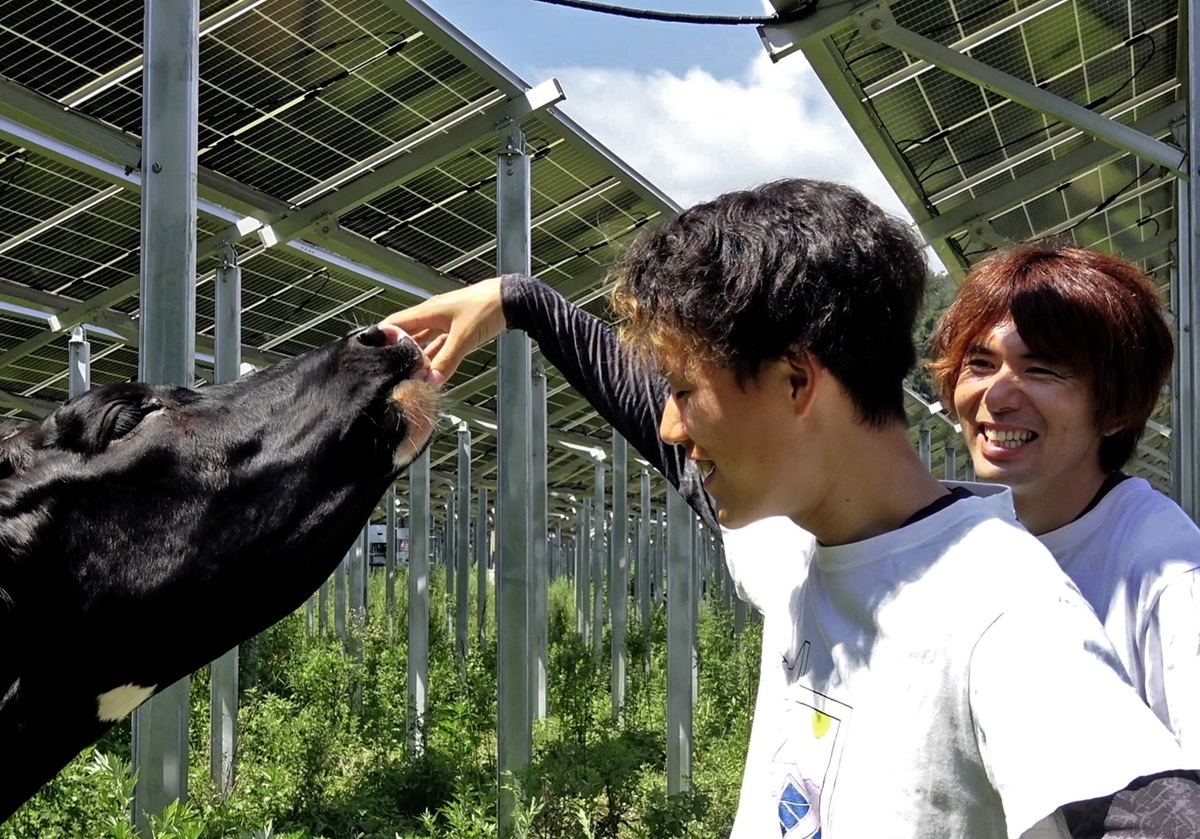 「農業とエネルギーの二重収益モデル」…福島・二本松発、営農型太陽光発電の挑戦の画像2