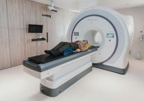 がんや認知症も予測可能になる？免疫×遺伝子×生活習慣で“未来の病気”を可視化