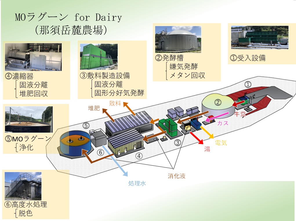 森永乳業、牛ふん尿からメタンガスを回収…酪農の持続可能性を支える挑戦の画像2