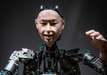 AIペンギンで政治家が不要になる？地域政党「再生の道」が仕掛ける政治DX