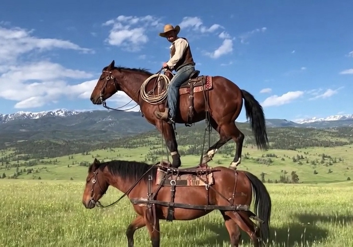 広がるSora2ショック…日本のアニメ産業を揺るがす「動画生成AI規制」の現実味の画像2