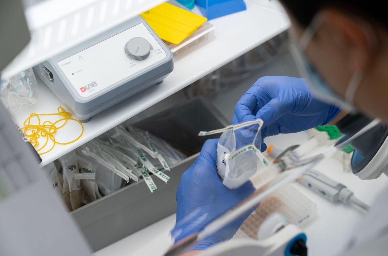 腸が変える、健康の新常識 ── マイクロバイオームが拓く次世代ヘルスケアの可能性の画像5