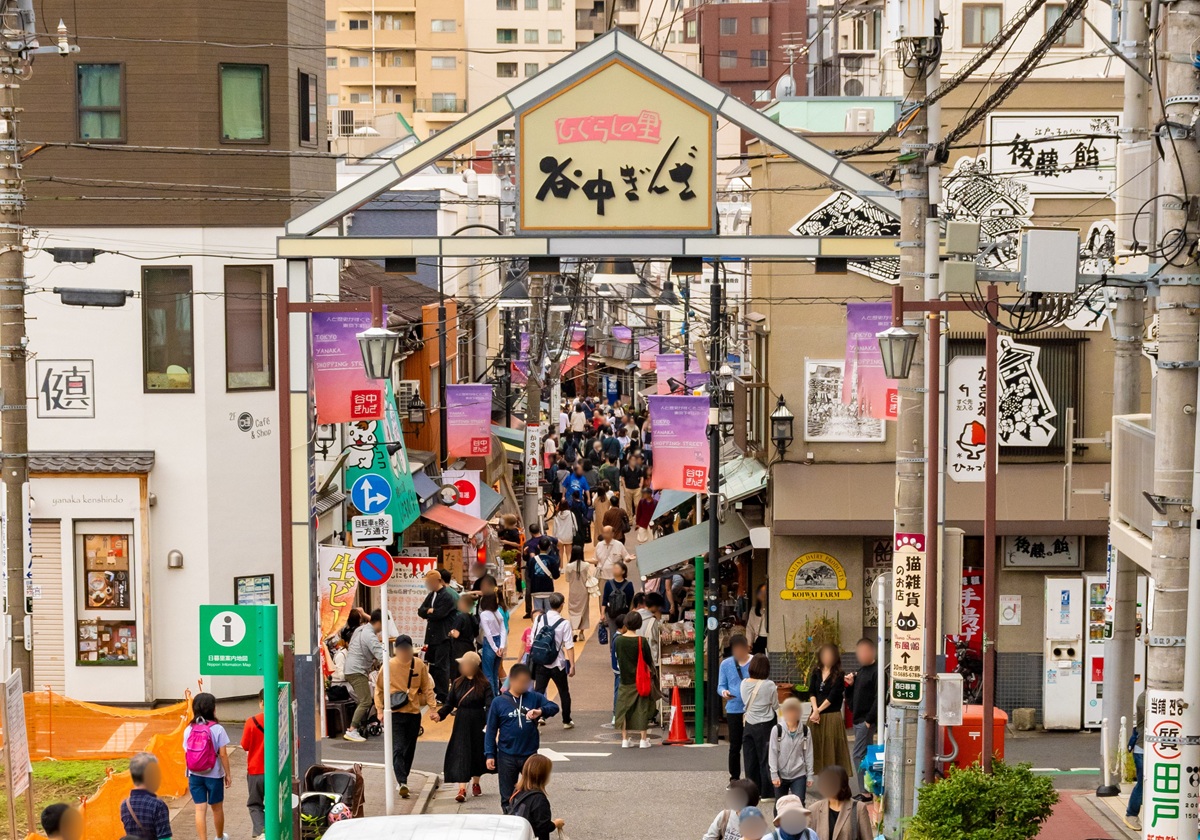 谷中「夕やけだんだん」眺望消失で波紋…国立“富士山マンション”解体と何が違う?の画像1