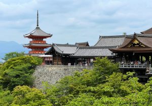 訪日外国人4千万人の裏で進む二極化…静岡・関西が直面する“チャイナ・ショック”